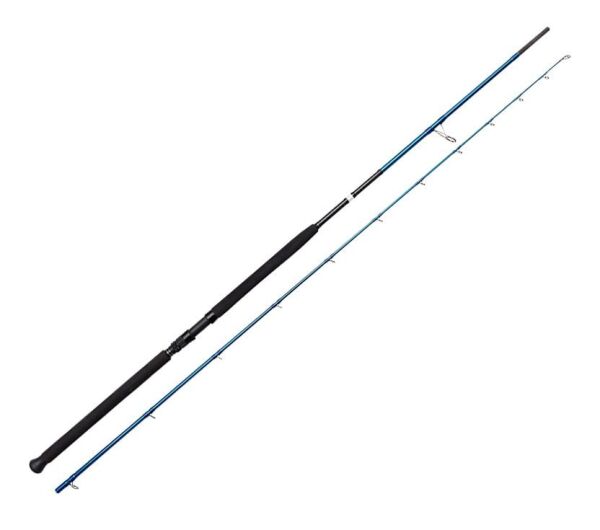 Savage Gear SGS2 Shore Jigging 290 Cm 20-80 Gram Shore Jig Olta Kamışı
